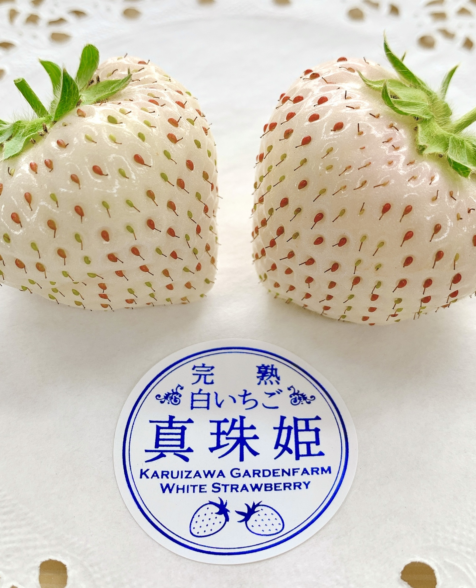 子供とお出かけ情報「いこーよ」