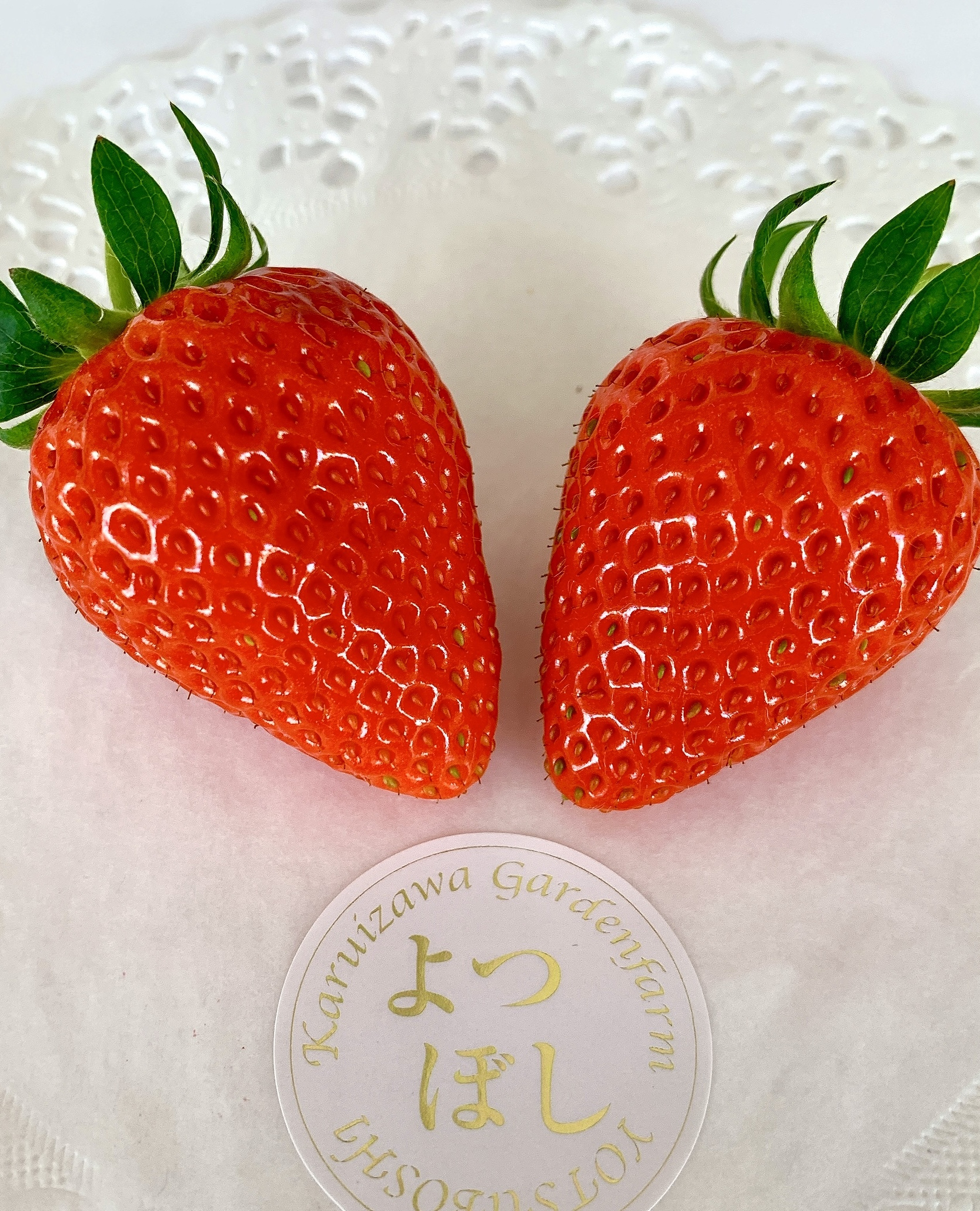 子供とお出かけ情報「いこーよ」