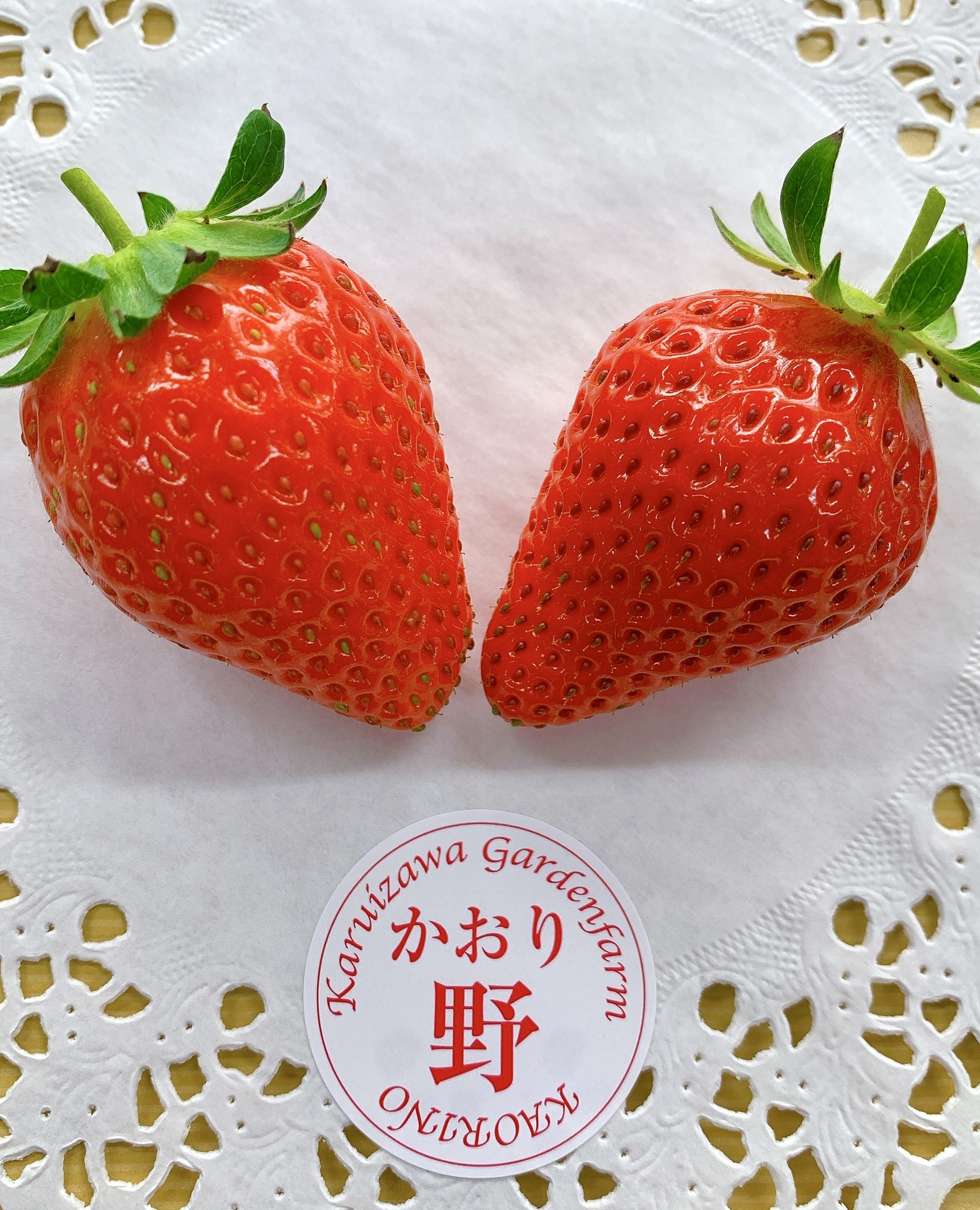 子供とお出かけ情報「いこーよ」